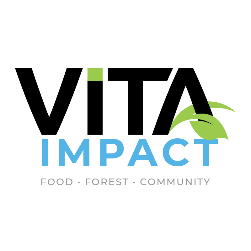 Vita Impact Logo